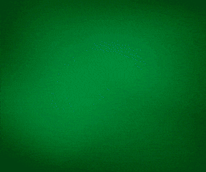 Portal O Tocantins Publicidade 300x250