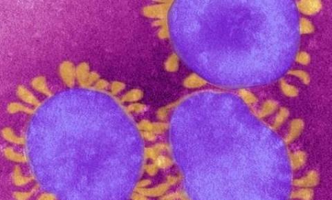 Agência dos Estados Unidos afirma que coronavírus pode se espalhar pelo ar