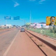 “Feito o pai, não vale um pequi roído”: outdoors contra Flávio Bolsonaro geram polêmica em Palmas “feito-o-pai,-nao-vale-um-pequi-roido”:-outdoors-contra-flavio-bolsonaro-geram-polemica-em-palmas