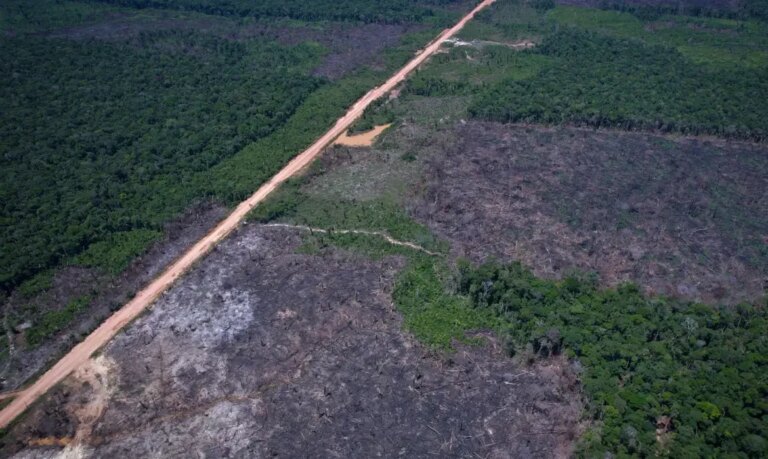 brasil-alcanca-menores-taxas-de-desmatamento-da-serie-historica-na-amazonia-e-no-cerrado