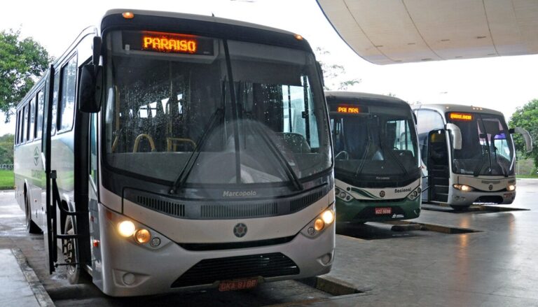tocantins-tera-transporte-intermunicipal-gratuito-no-segundo-turno-das-eleicoes-2026