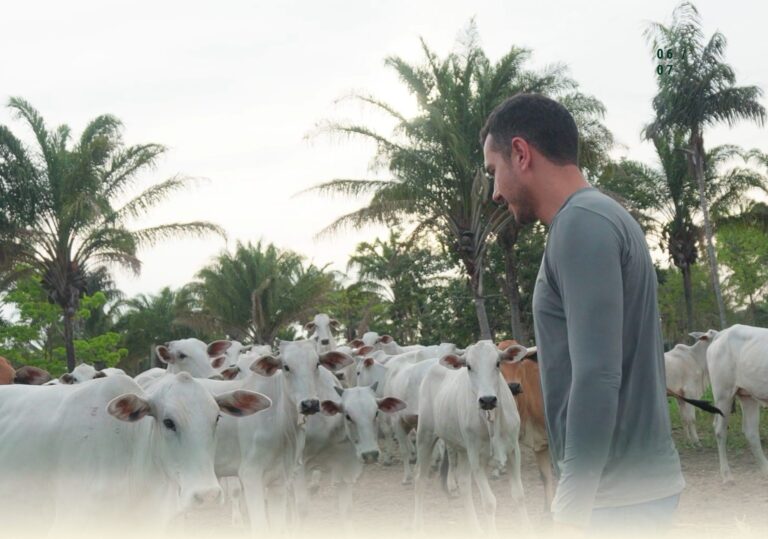 Senar realiza Dia de Campo em Araguatins com técnicas para aumentar a produtividade rural senar-realiza-dia-de-campo-em-araguatins-com-tecnicas-para-aumentar-a-produtividade-rural