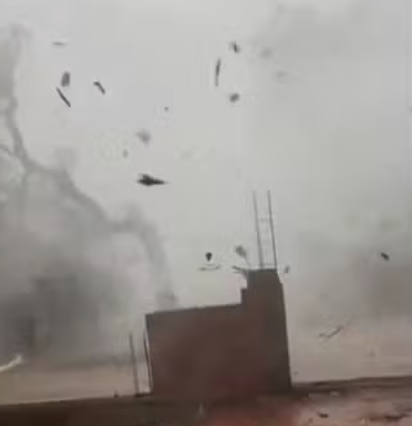 Vídeo flagra árvores caindo durante temporal que provocou estragos em Araguaína video-flagra-arvores-caindo-durante-temporal-que-provocou-estragos-em-araguaina